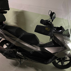 Pcx 125 15년식 38000km (배달x) 부천 판매