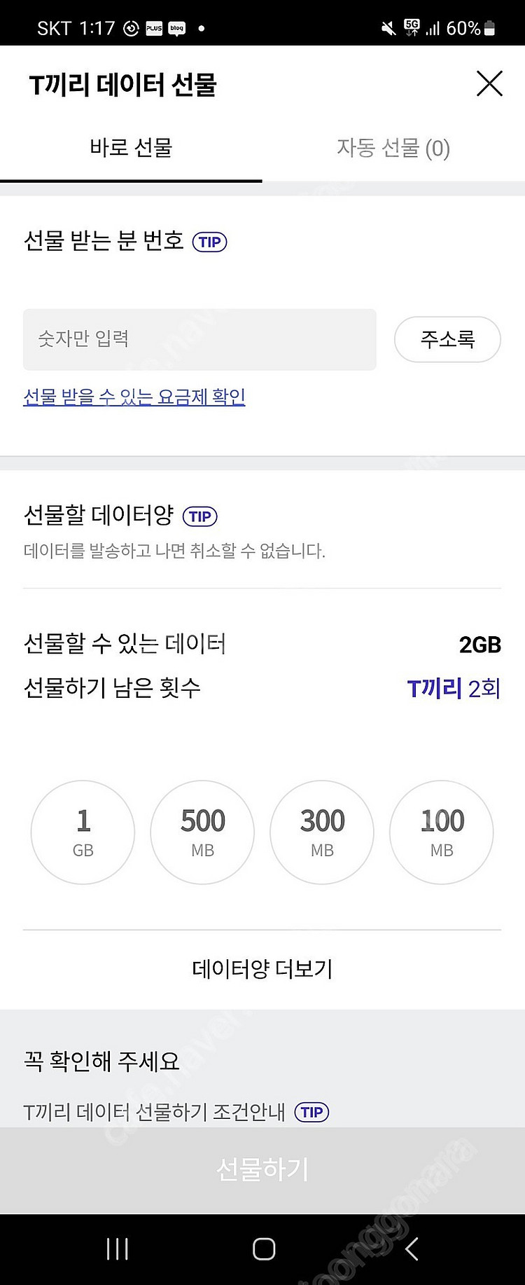 skt 데이터 2gb 2기가--0