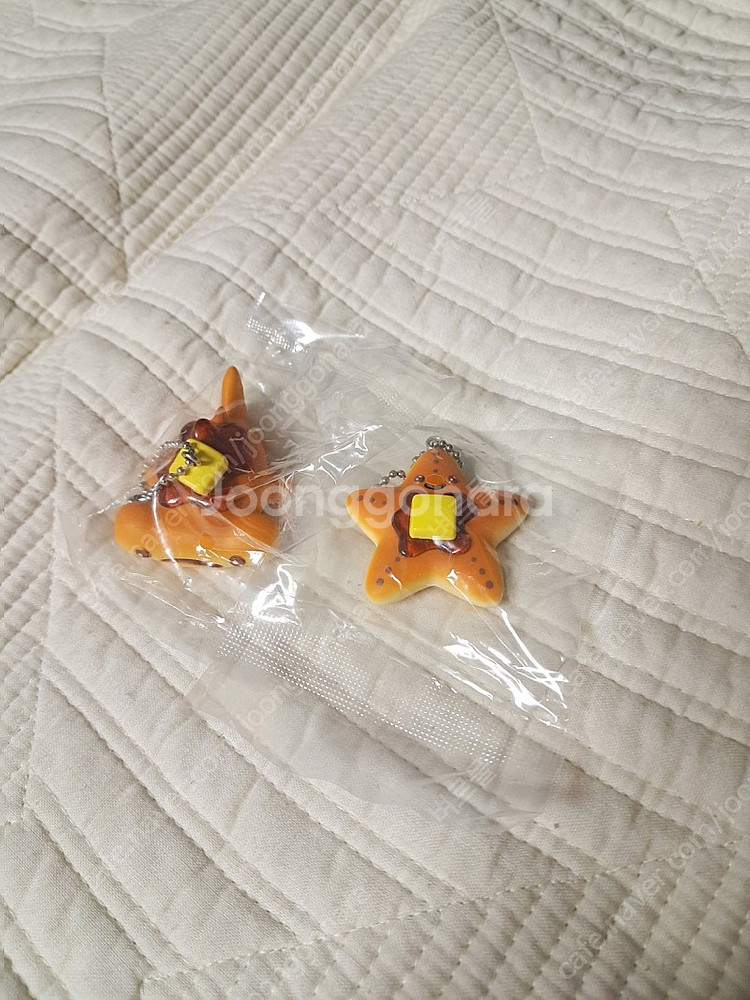 메이플 sea 팬케이크 불가사리 귀상어 일본 가챠--1