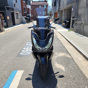 2022년 8월 혼다 PCX125 ABS 짧은 킬로수 보고 가세요!