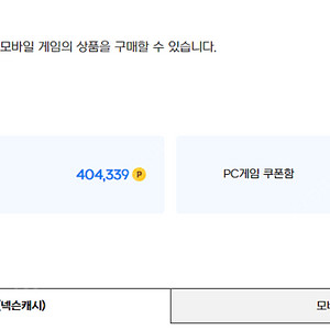 넥슨포인트 404,000원 ㅡ 350,000원 판매합니다 (네고율 86.6%
