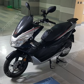 pcx 125 15년식 대구 달성군