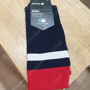 STANCE MLB 야구양말 새거