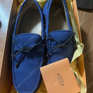 tods 신발 (men size4)