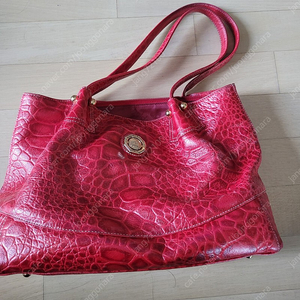 아시도날 바시니 가방 판매합니다