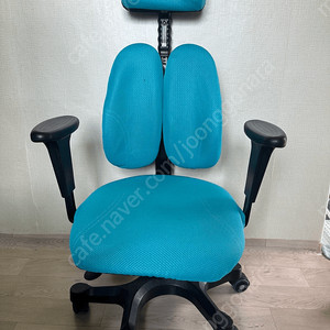 듀오백 의자 (DK3800G) 커버