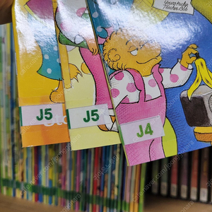 [정품] J4~J5 베런스타인베어스 60종(BOOK+CD+단어장)세트 (상태최상) 잠수네 베스트