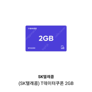 SK 데이터쿠폰 2GB
