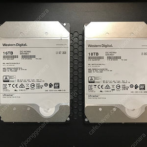 웬디 울트라스타 HC550 16TB, 18TB (최상급 모델)