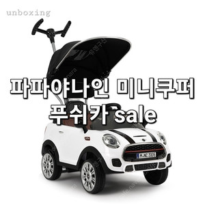 파파야나인 23년형 미니쿠퍼 푸쉬카 sale !!