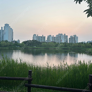 롯데백화점 상품권 스타벅스 상품권 공차상품권 판매합니다