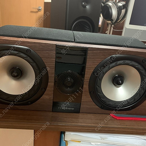 파인오디오 센터스피커 F300C(Fyneaudio)