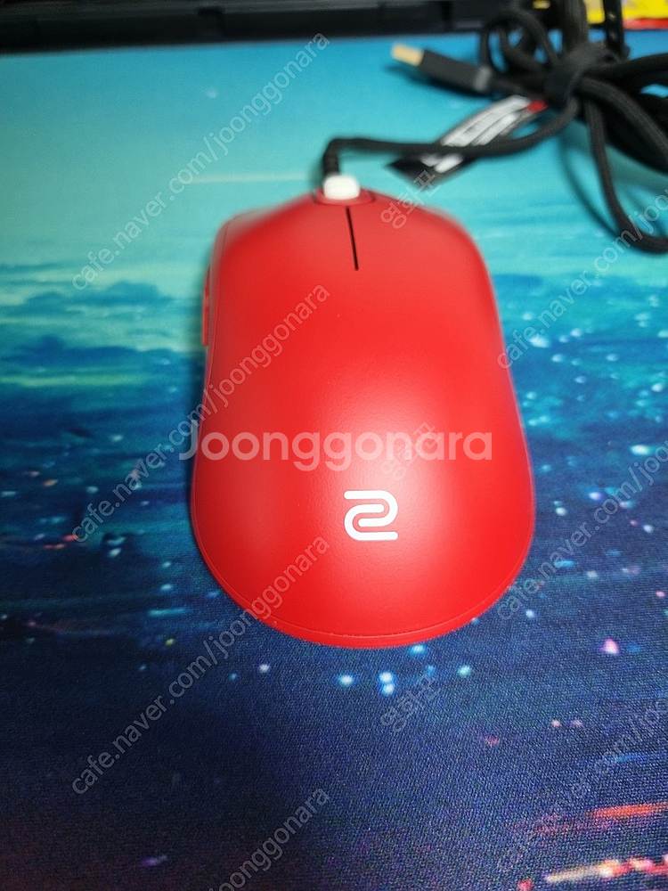 fk1+레드(49,000원) 벡시winter 하엑퓨s ...--4