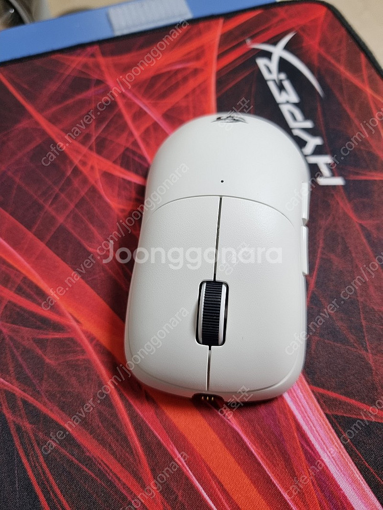 fk1+레드(49,000원) 벡시winter 하엑퓨s ...--8