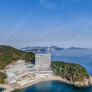 7월1일 거제벨버디어 스위트오션뷰