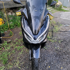 PCX125, 2020년 팝니다.