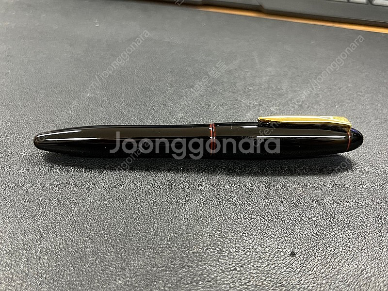 여러 만년필들 급처합니다. (바로 급처)--1