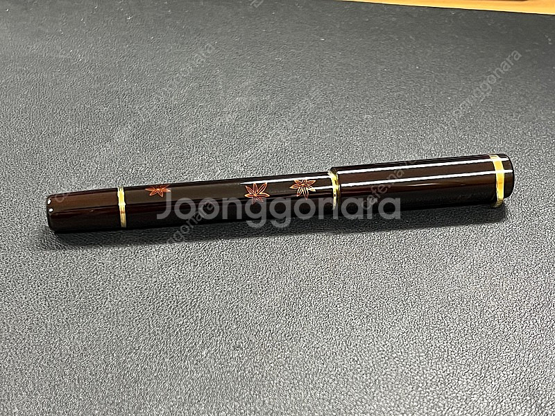 여러 만년필들 급처합니다. (바로 급처)--8