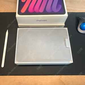 아이패드 미니6 64gb wifi 배터리효율 100 판매