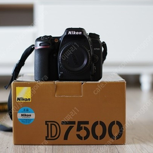 니콘 D7500 /70-200vr / 토키나11-20/ 시그마 18-35/ 소니렌즈 캐논 렌즈 등 정리합니다.