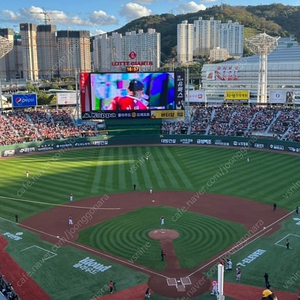 7월8일 토요일 롯데자이언츠 vs 엘지트윈스 중앙테이블석 표 삽니다.