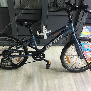 자이언트 XTC jr 20인치