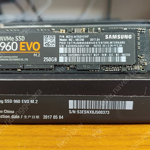 삼성전자 960EVO M.2 NVMe 250G 1.6만