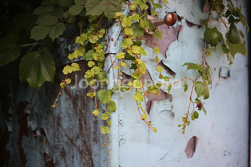 올드렌즈 필름카메라 필카 펜탁스 오토타쿠마(Auto-Takumar) 35mm f3.5--7