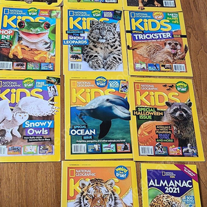 national geographic kids 영문판 잡지