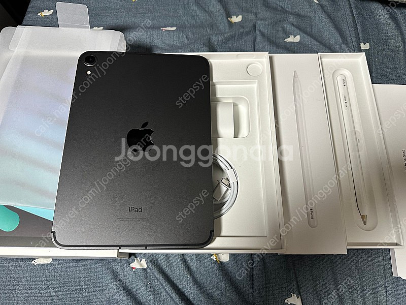 아이패드 미니 6세대 256gb 셀룰러 스그 애케플 +...--0