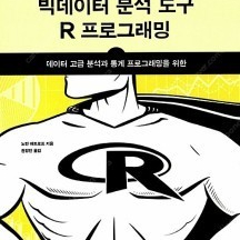 빅데이터 분석 도구 R 프로그래밍 +Visualize This 비주얼라이즈 디스 (새 상품)