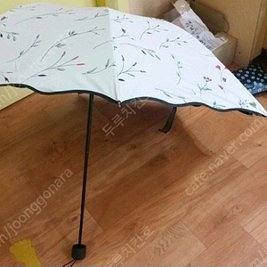 우산겸 양산