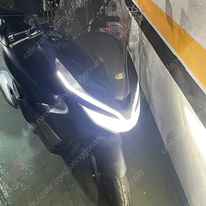 pcx 20년식