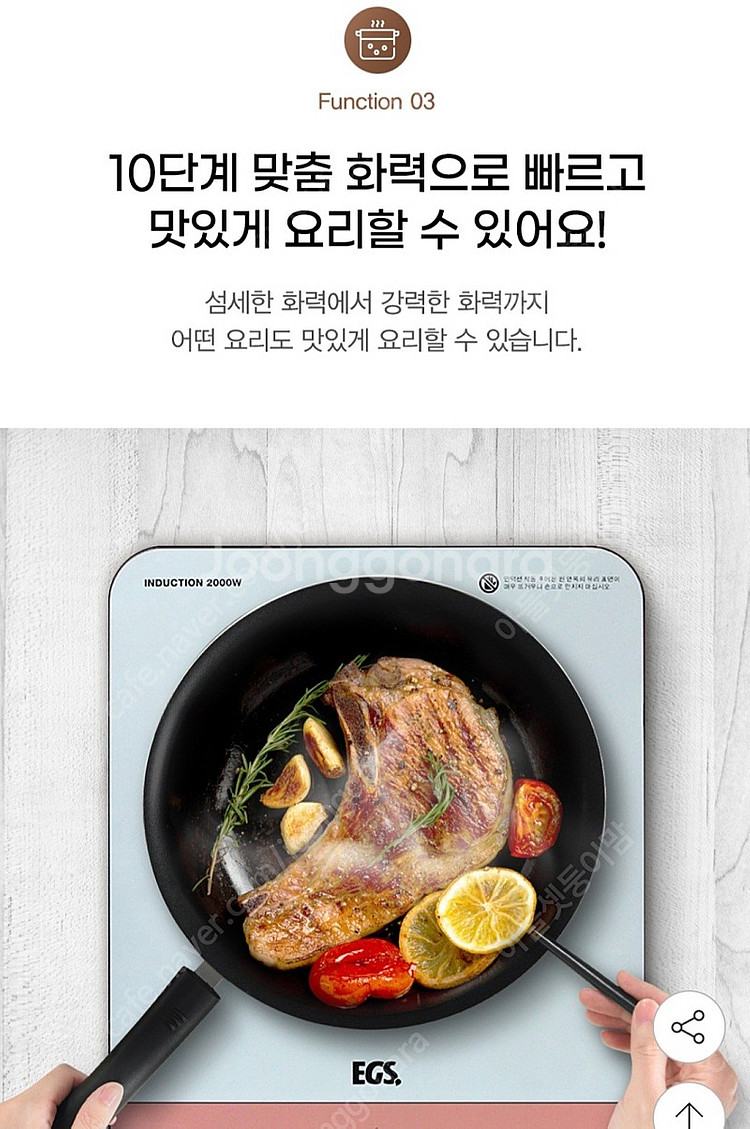 벤타코리아 egs 캔버스 인덕션--4