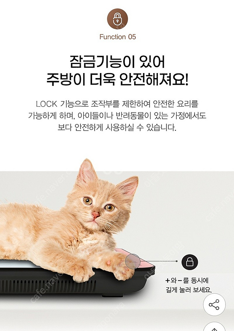 벤타코리아 egs 캔버스 인덕션--8