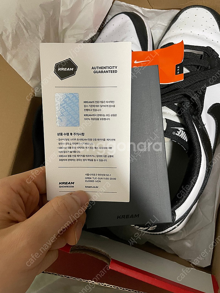 나이키 덩크 범고래 295 (11.5)--1