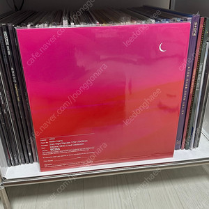 레이니 lany malibu nights lp 엘피 (개봉)