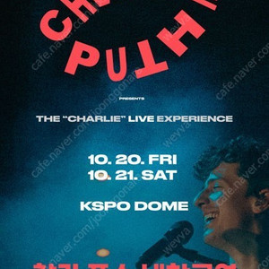 [자리많음] 찰리푸스 내한공연 (Charlie Puth Live in Seoul) VIP/스탠딩A/C구역 지정석 P/A/B/C석 시야제한석 4/2연석 양도합니다.