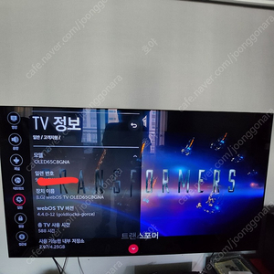 lg oled 65tv c8gna 벽걸이 tv 판매