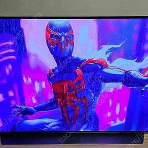 LG전자 올레드 evo OLED48C2ENA [인천직거래100만]