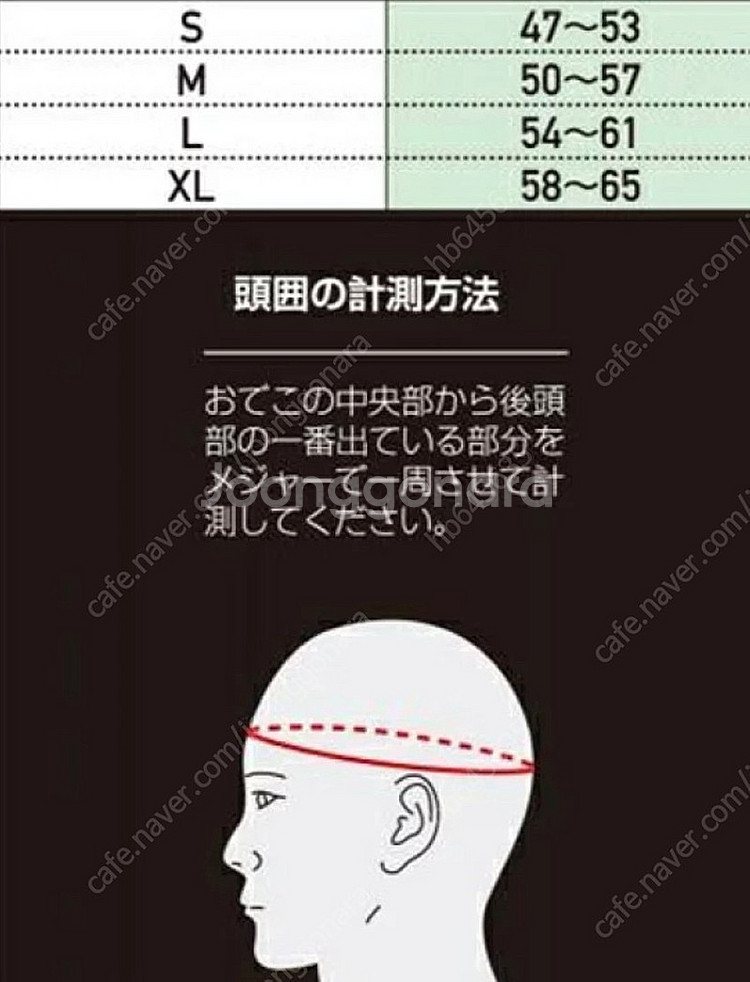 대도숙 쿠도 헤드기어 M사이즈--3