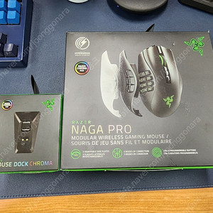 레이저 나가 프로(무선) Razer Naga Pro 레이저 나가프로(충전독 포함) 무선 마우스 판매