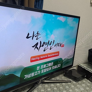 38인치이상 144Hz 1ms 모니터 삽니딘