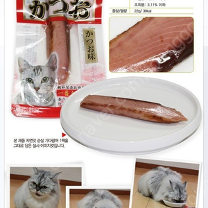 펫모닝 카네토라 - 고양이 간식