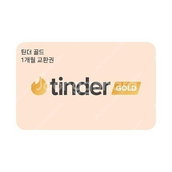 틴더 골드 6개월--0