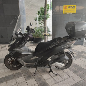 pcx 20년식