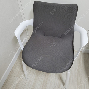 퍼시스 의자 새상품