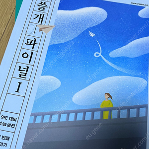 이감 간쓸개 파이널/강대 모의고사 K 국어/ 강남대성 주간지 FF 문학