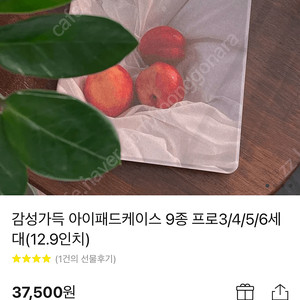 아이패드 케이스