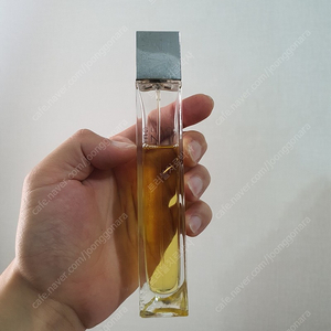 구찌 엔비 edt 50ml 향수 (5)